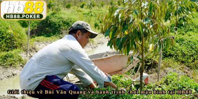 Giới thiệu về Bùi Văn Quang và hành trình chơi mậu binh tại HB88