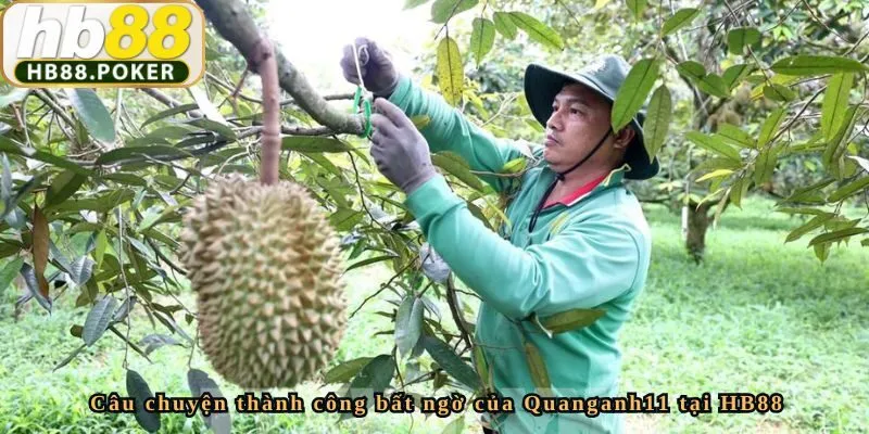 Quanganh11 – Chia Sẻ Câu Chuyện Thành Công Bất Ngờ Từ Rồng Hổ 1 Câu chuyện thành công bất ngờ của Quanganh11 tại HB88