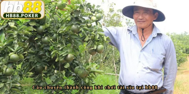 Hoanganh24 - Bí Quyết Vươn Tới Thành Công Tại HB88 1 Câu chuyện thành công khi chơi tài xỉu tại hb88