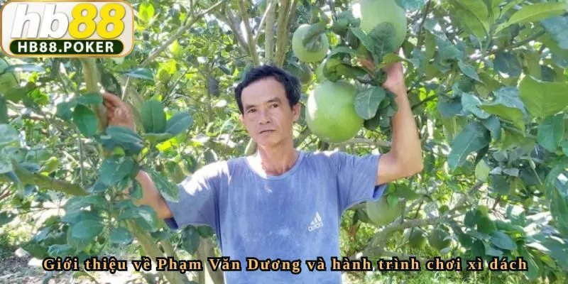 Giới thiệu về Phạm Văn Dương và hành trình chơi xì dách