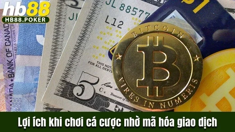 Lợi ích khi chơi cá cược tại nhà cái nhờ mã hóa giao dịch 