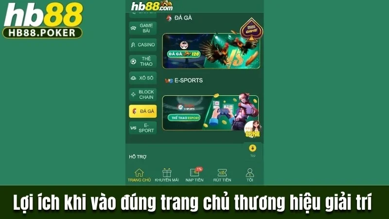 Lợi ích khi vào đúng trang chủ thương hiệu giải trí 
