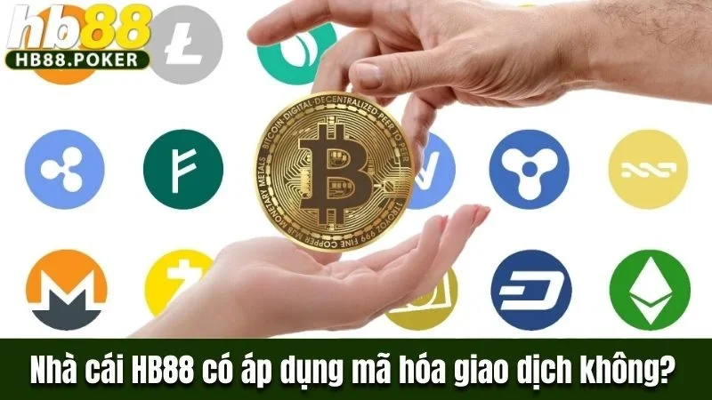 Nhà cái HB88 có áp dụng mã hóa giao dịch không?