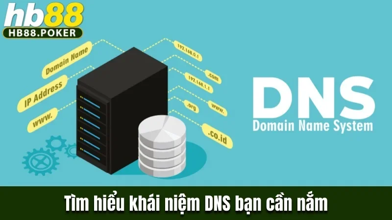 Tìm hiểu khái niệm DNS bạn cần nắm