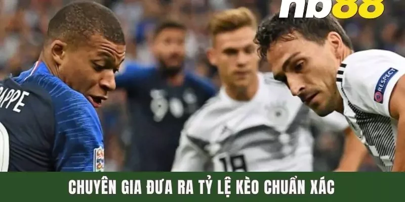 Chuyên gia đưa ra tỷ lệ kèo chuẩn xác