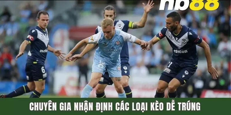 Dự Đoán Melbourne Victory Vs Sydney FC Lúc 15h35 Ngày 24/1 3 Chuyên gia nhận định các loại kèo dễ trúng